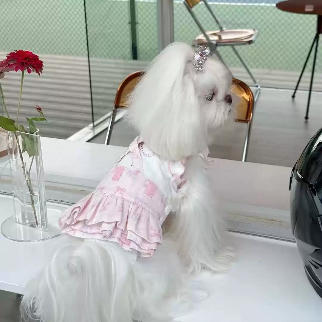 Small Pet Spring/Summer Sling Dress for Dogs & Cats