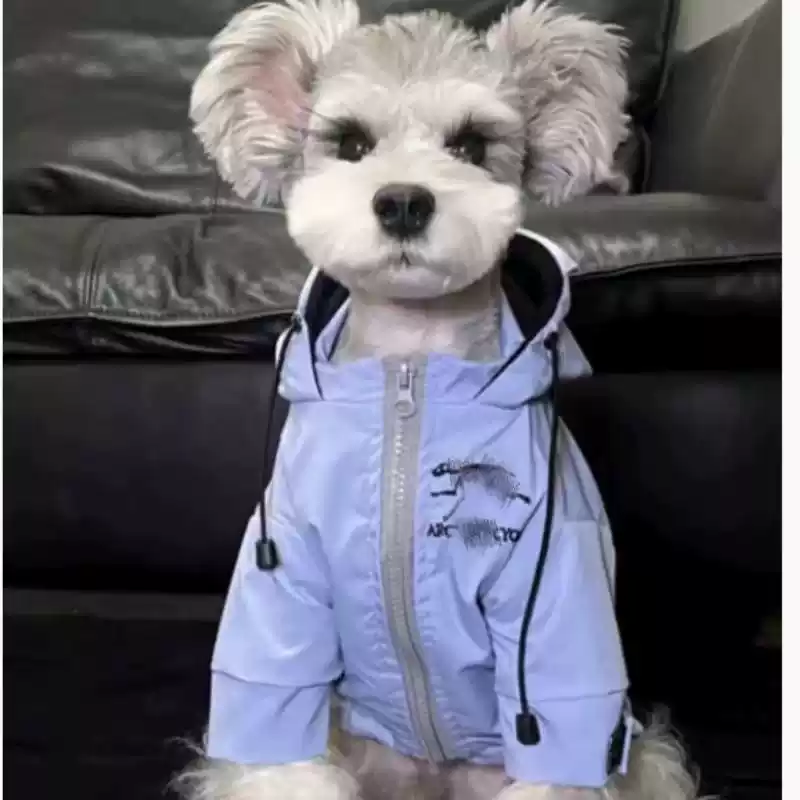 Pet Autumn & Winter Warm Coat - Suitable for Small Dogs & Cats