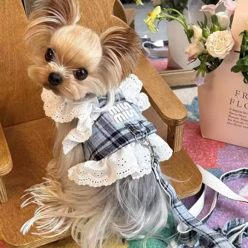 New Spring/Summer/Autumn Checkered Lace Dress for Dogs & Cats (Leash-compatible)