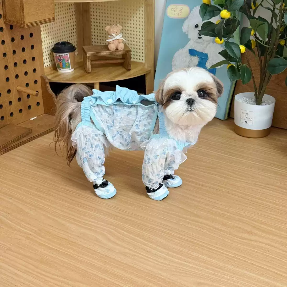 Small Dog Spring & Summer Insect-Repellent Lightweight Dust-Resistant Leg Protection Outfit