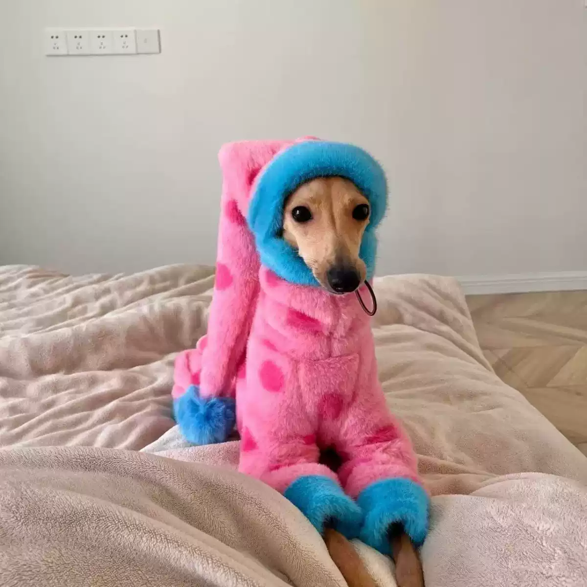 Fleece-lined Plush Pink Polka Dot Four-Legged Dog Outfit for Autumn & Winter