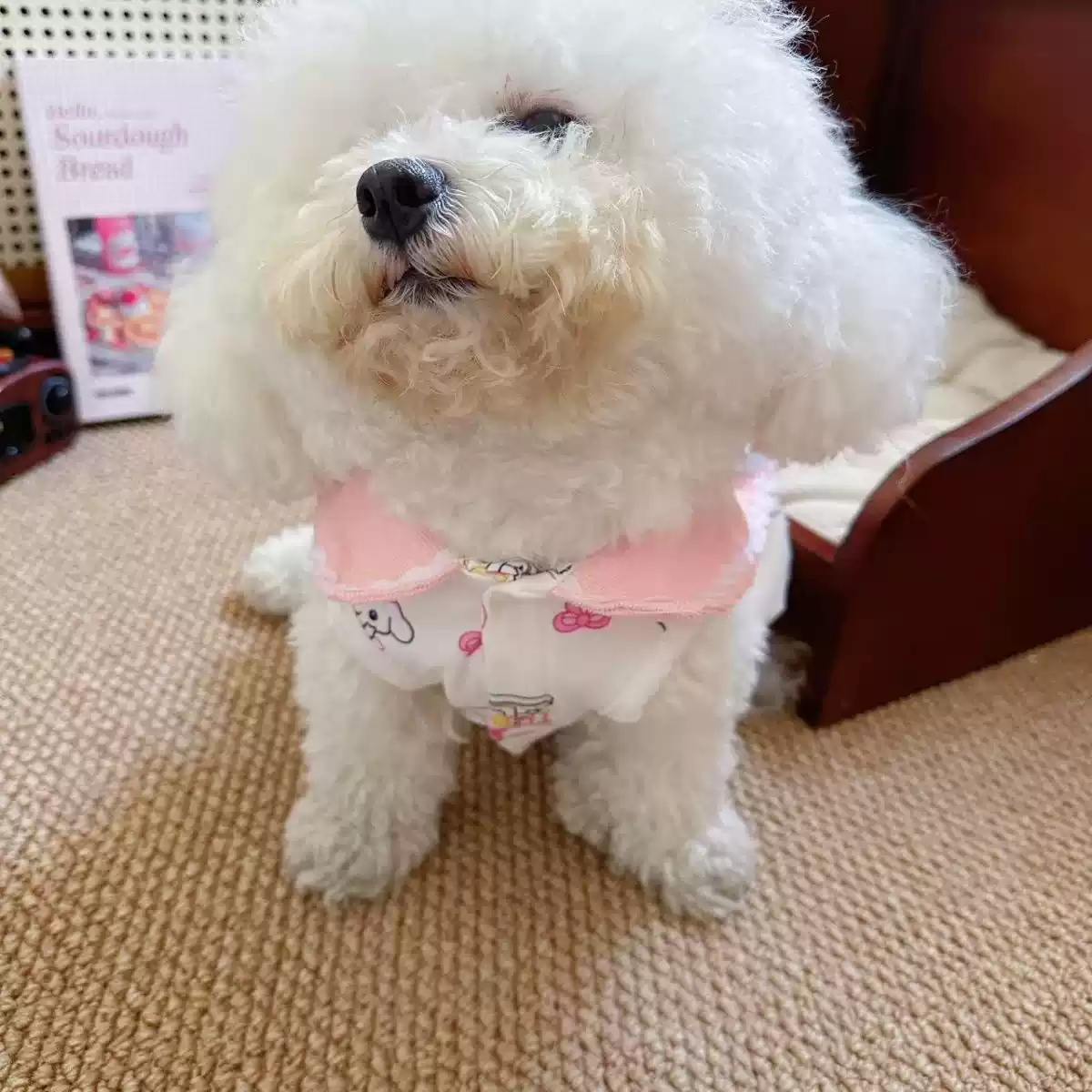 Cute Princess Style Pet Clothing for Cats & Dogs