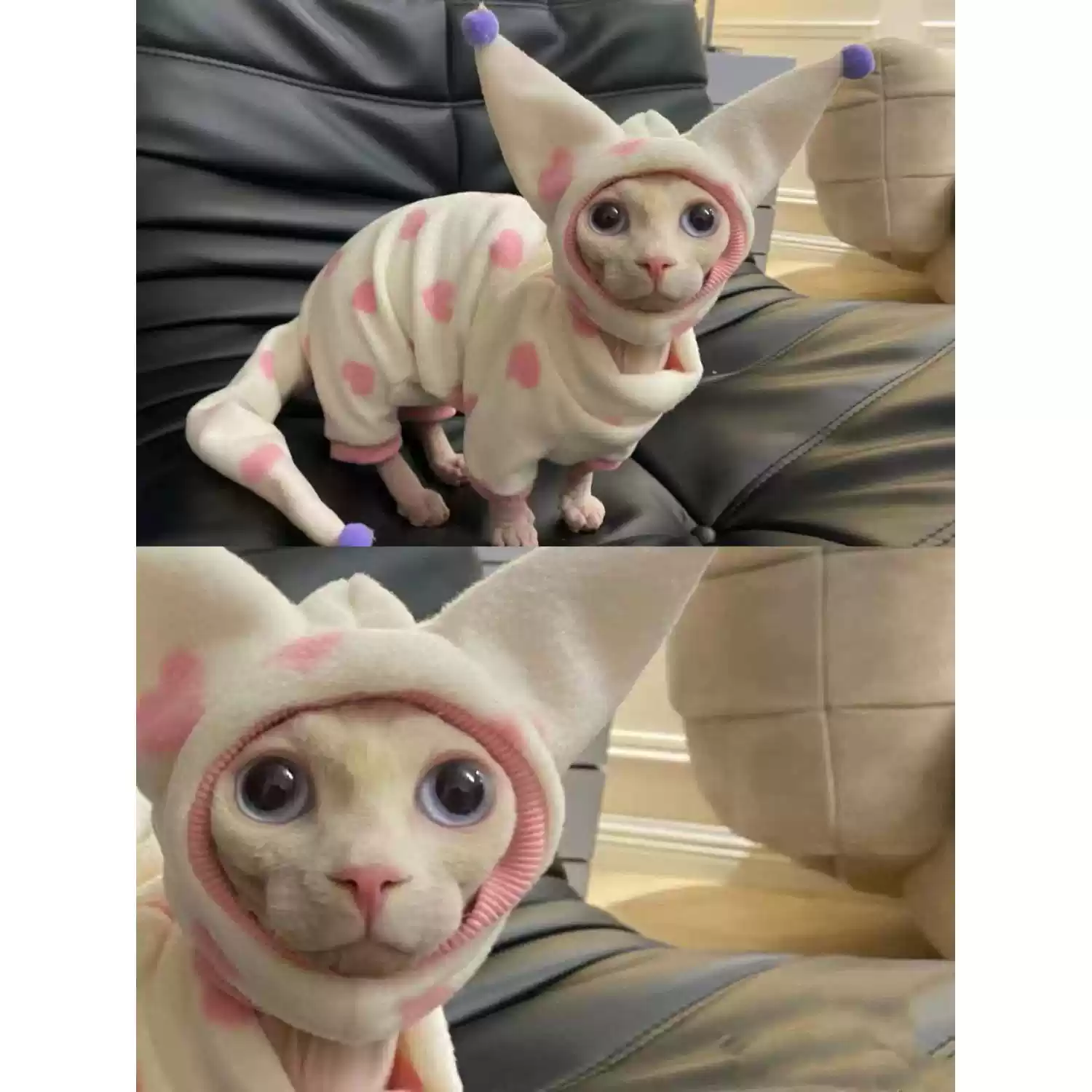 2025 Autumn New Style Warm Thickened Fleece Lined Four-Legged Cat Clothes