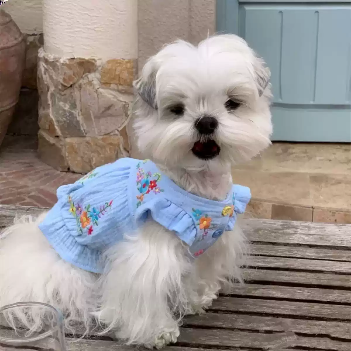 Summer Thin Checkered Princess Pet Dress for Small Dogs