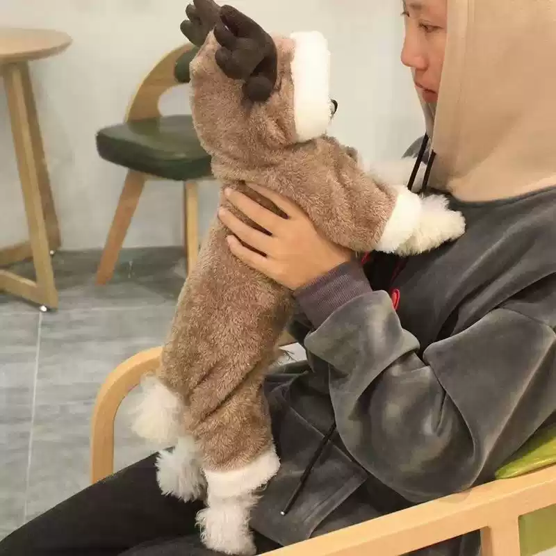 Small & Medium Dog & Cat Four-Legged Winter/Autumn Outfit - Cute Pet Clothing