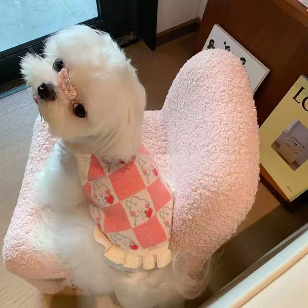 Pet Sweater for Small Dogs & Cats, Autumn & Winter