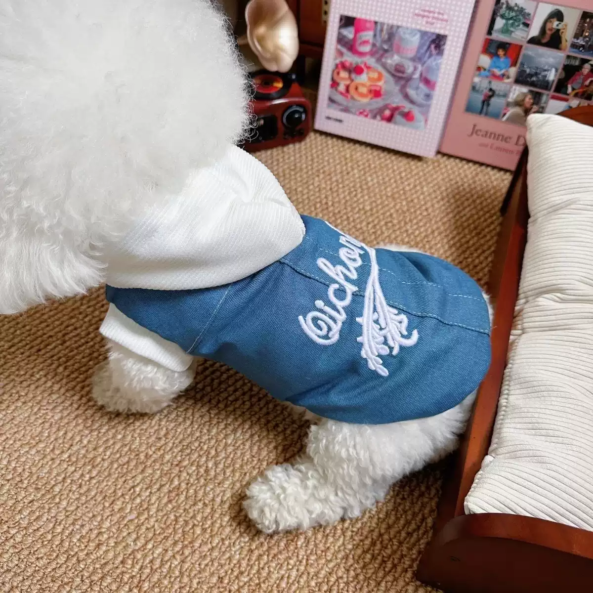 Hooded Denim Pet Jacket - Spring/Autumn for Small Dogs & Cats