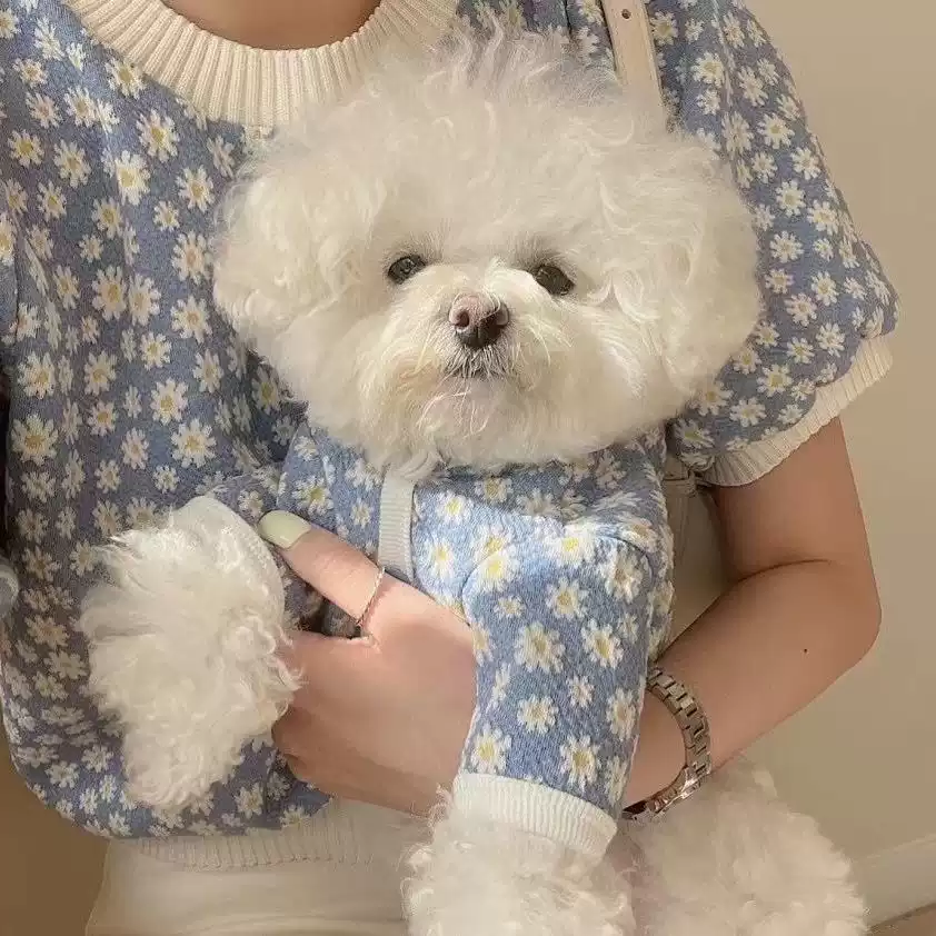 New Autumn/Winter Dog Cardigan Coat - Pet Matching Outfit for Small Dogs (Teddy, Bichon, Pomeranian)