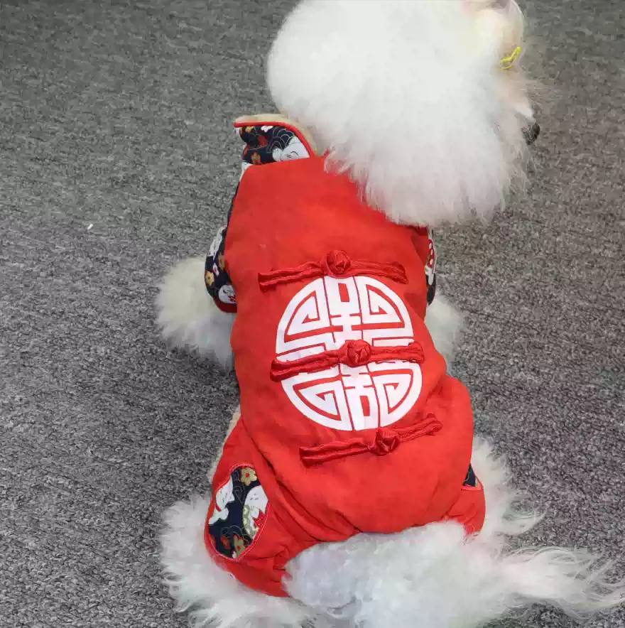 Pet Clothes for Small Dogs - Autumn/Winter Cotton New Year Tang Suit Four-Legged Outfit