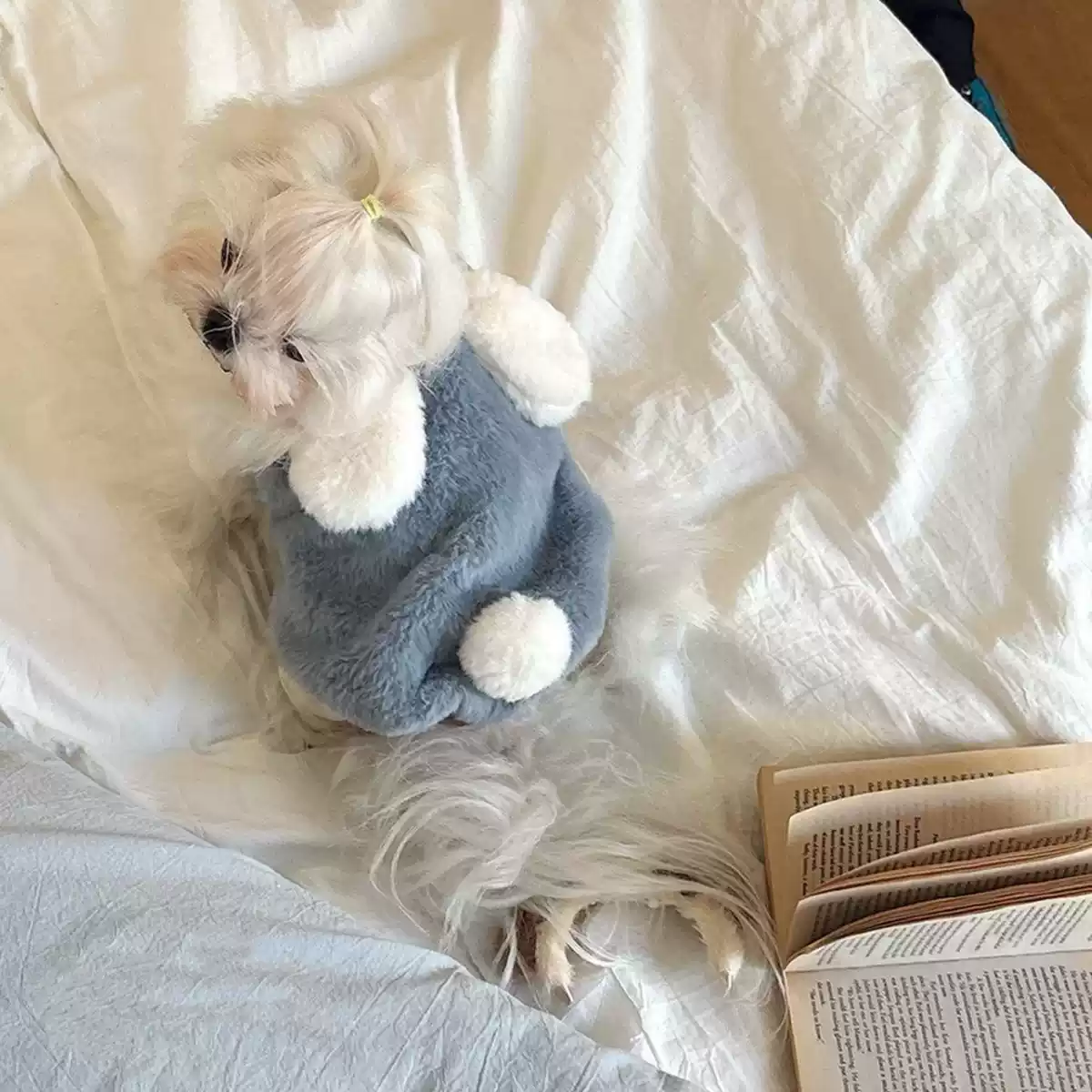 Fleece-Lined Pet Autumn/Winter Apparel - Warm & Thick