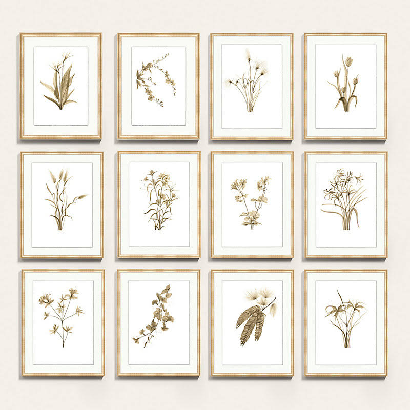 Fragile Blossoms Art 30x22 x 23x22 - Ballard Designs