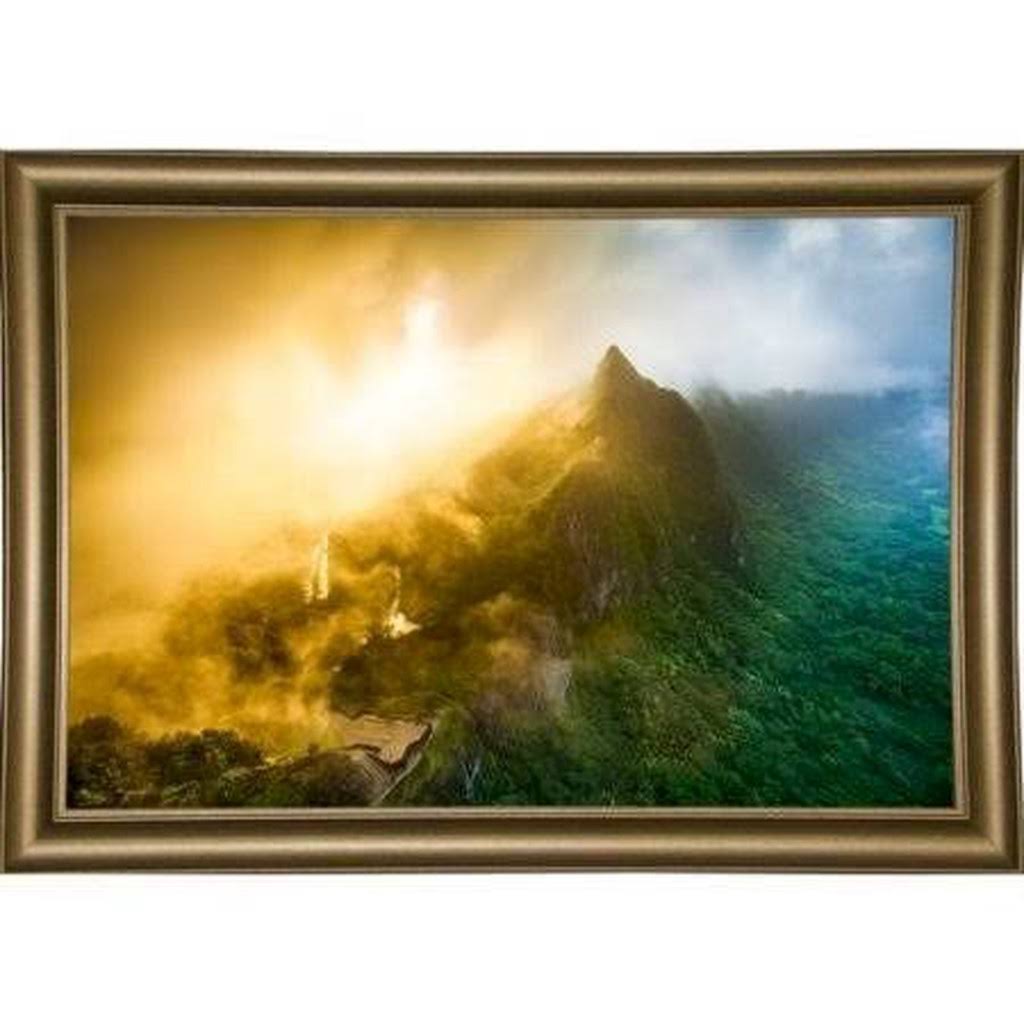 &Coral& 4 Piece Picture Frame Graphic Art Set