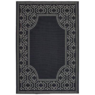 Quintin Plaid Black/Ivory Indoor/Outdoor Area Rug Birch Lane Rug Size: Rectangle 7&10x22 x 10&10x22