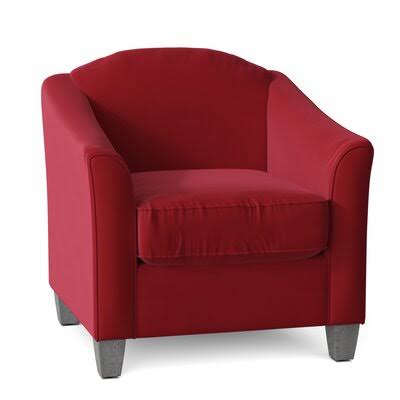 Birkett Armchair Body Fabric: Sustain Dursky Ivory, Leg Color: Gray