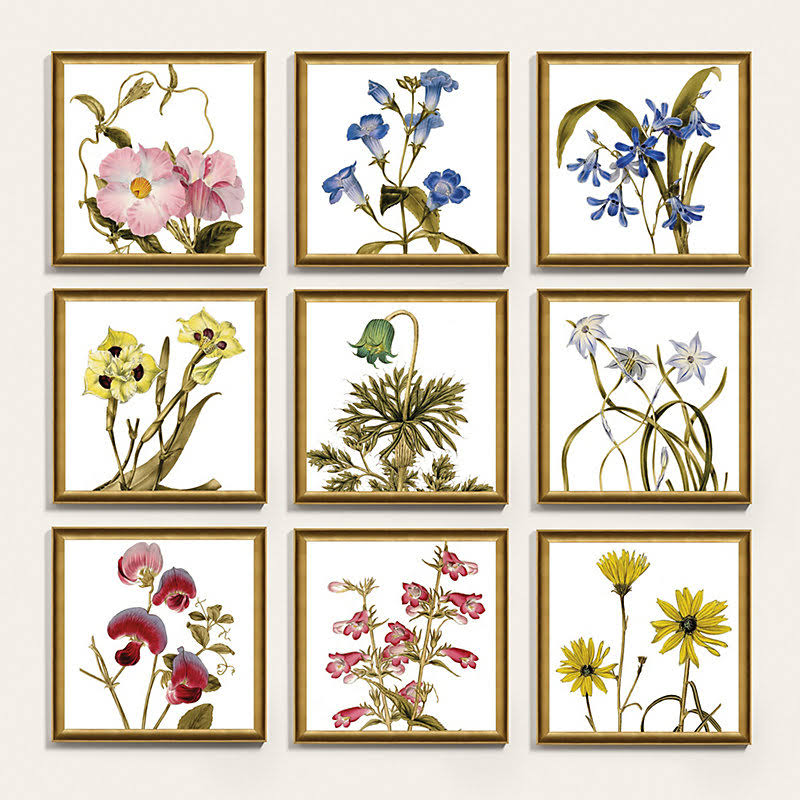 Botanica Art 19x22 x 19x22 - Ballard Designs