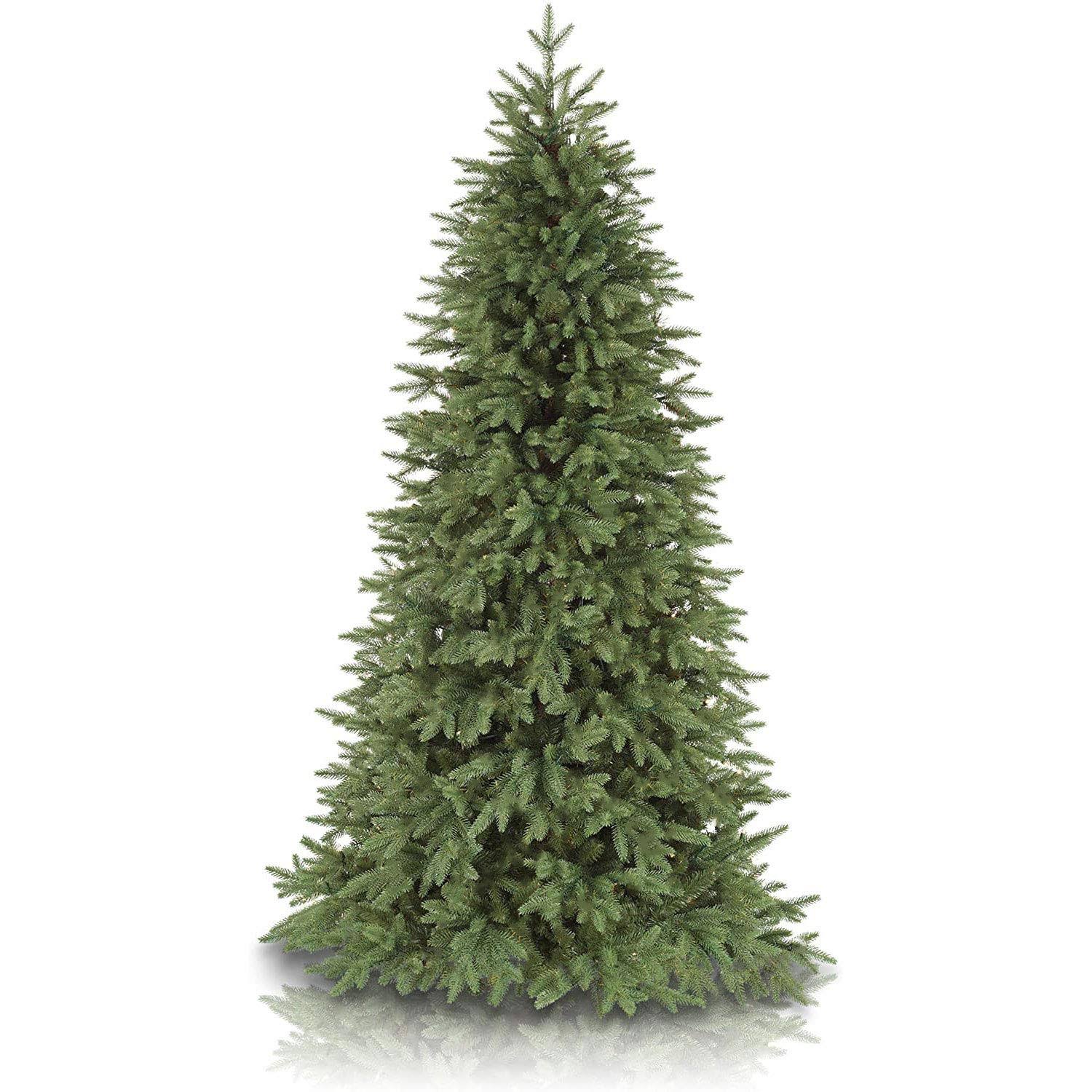 Balsam Hill Stratford Spruce 6.5 Foot Unlit Christmas Tree with Stand (Used) by VM Express