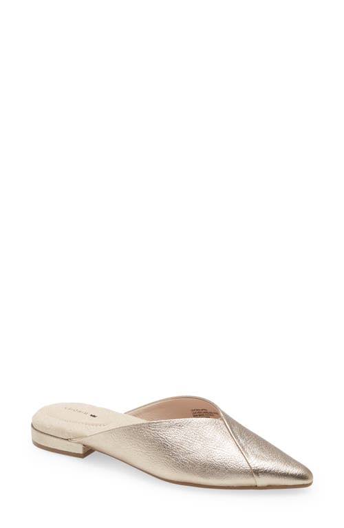 Birdies Swan Flat, Size 6.5 in Gold at Nordstrom