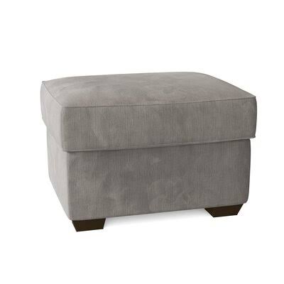 Birch Lane Swifton 29x22 Rectangle Standard Ottoman Body Fabric: Empire Dove