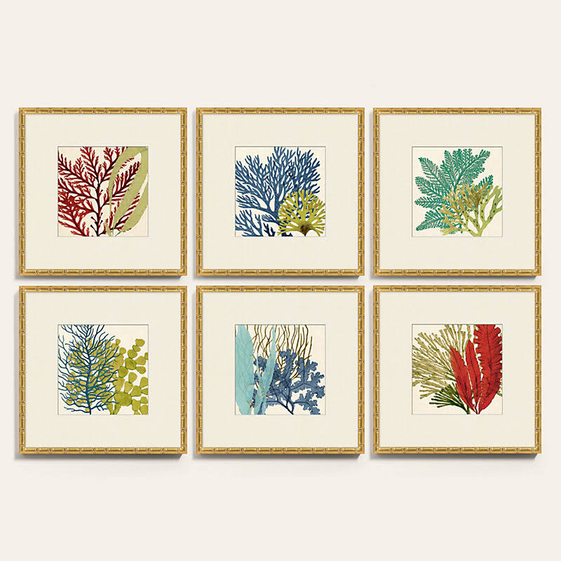 Island Coral Art 21x22 x 21x22 - Ballard Designs