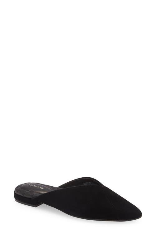 Birdies Swan Flat, Size 8.5 in Black at Nordstrom