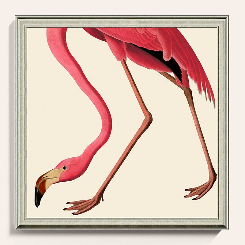 Poised Flamingo Art 33x22 x 33x22 - Ballard Designs