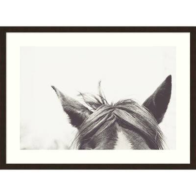 Listen by EMI and Mark Franzen - Picture Frame Photograph Print on Paper Birch Lane Frame Color: Espresso, Size: 19x22 H x 26x22