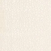 Leopard Velvet Chalk Fabric by The Yard - Ballard Designs
