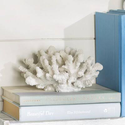 Diorio Coral Decor Sculpture Birch Lane