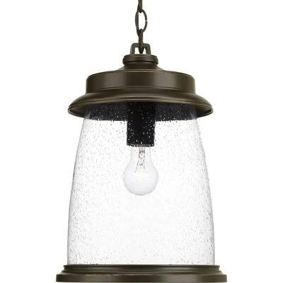 Breakwater Bay Millard 1-Light Outdoor Hanging Lantern