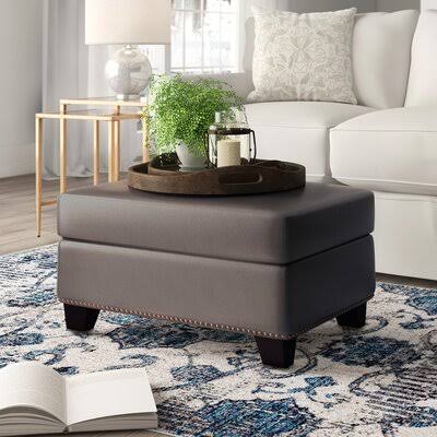 Birch Lane Phebe Leather Ottoman