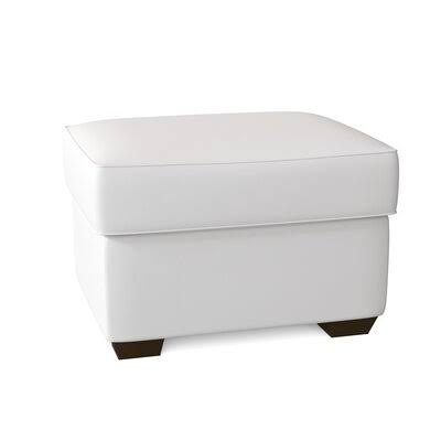 Birch Lane Swifton 29x22 Rectangle Standard Ottoman Body Fabric: Spinnsol Optic White
