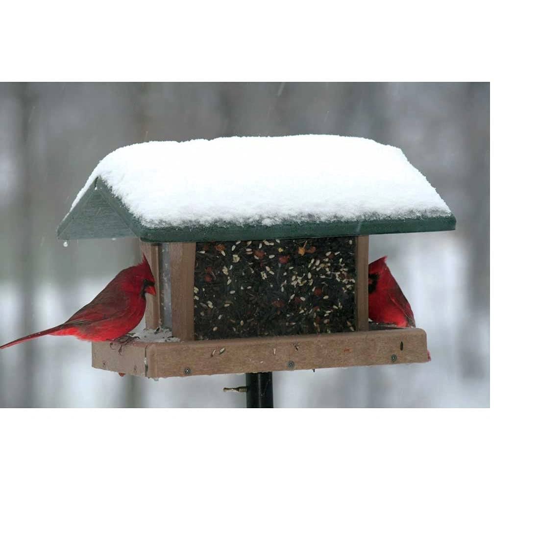 Birds Choice 3 Quart 4-sided Recycled Hopper Bird Feeder - Green