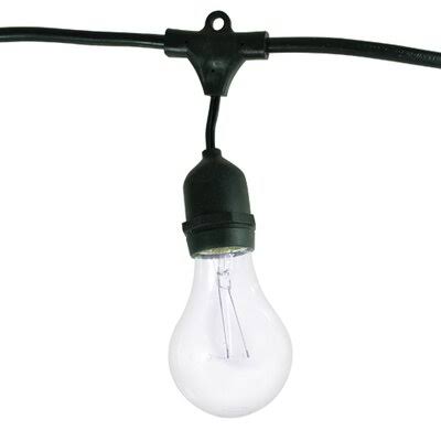 Gracinha 48& Outdoor 15 - Bulb Standard String Light Birch Lane