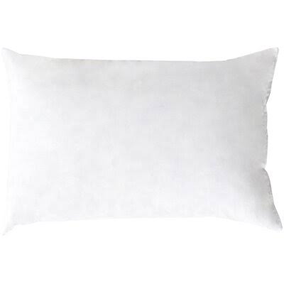 Birch Lane Premium Down Pillow Insert Size: 16x22 x 24x22