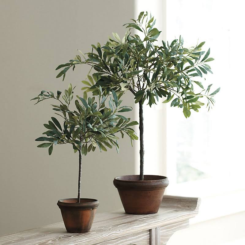 Olive Topiary 18 Inches - Ballard Designs
