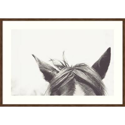 Listen by EMI and Mark Franzen - Picture Frame Photograph Print on Paper Birch Lane Frame Color: Brown, Size: 29x22 H x 41x22 W