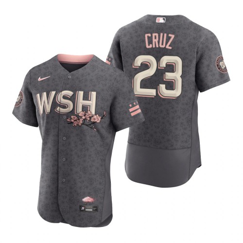 Washington Washington Nationals #23 Nelson Cruz Men's Authentic Gray 2022 City Connect Jersey Men's