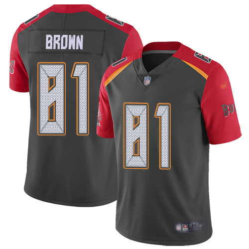 Tampa Bay Buccaneers #81 Antonio Brown Gray Men's Stitched Limited Inverted Legend Jersey Men's