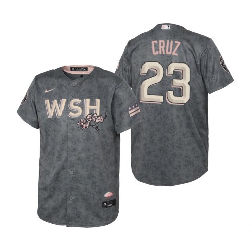 Washington Washington Nationals #23 Nelson Cruz Youth Gray 2022 City Connect Replica Jersey Youth