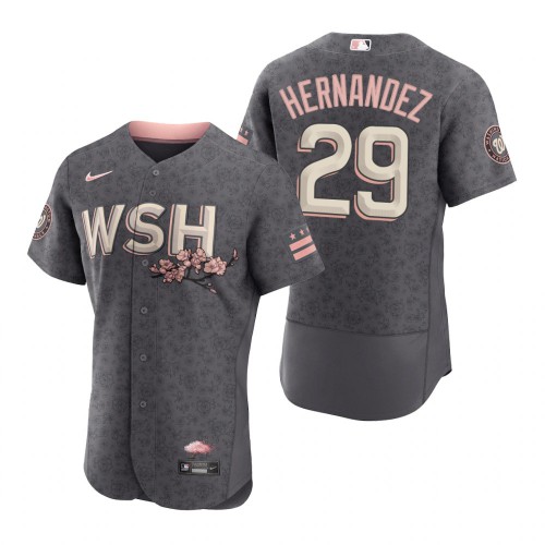 Washington Washington Nationals #29 Yadiel Hernandez Men's Authentic Gray 2022 City Connect Jersey Men's