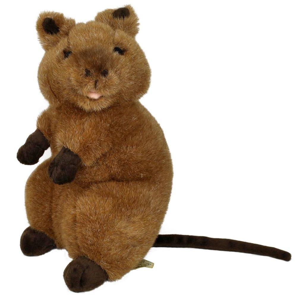 quokka plush toy