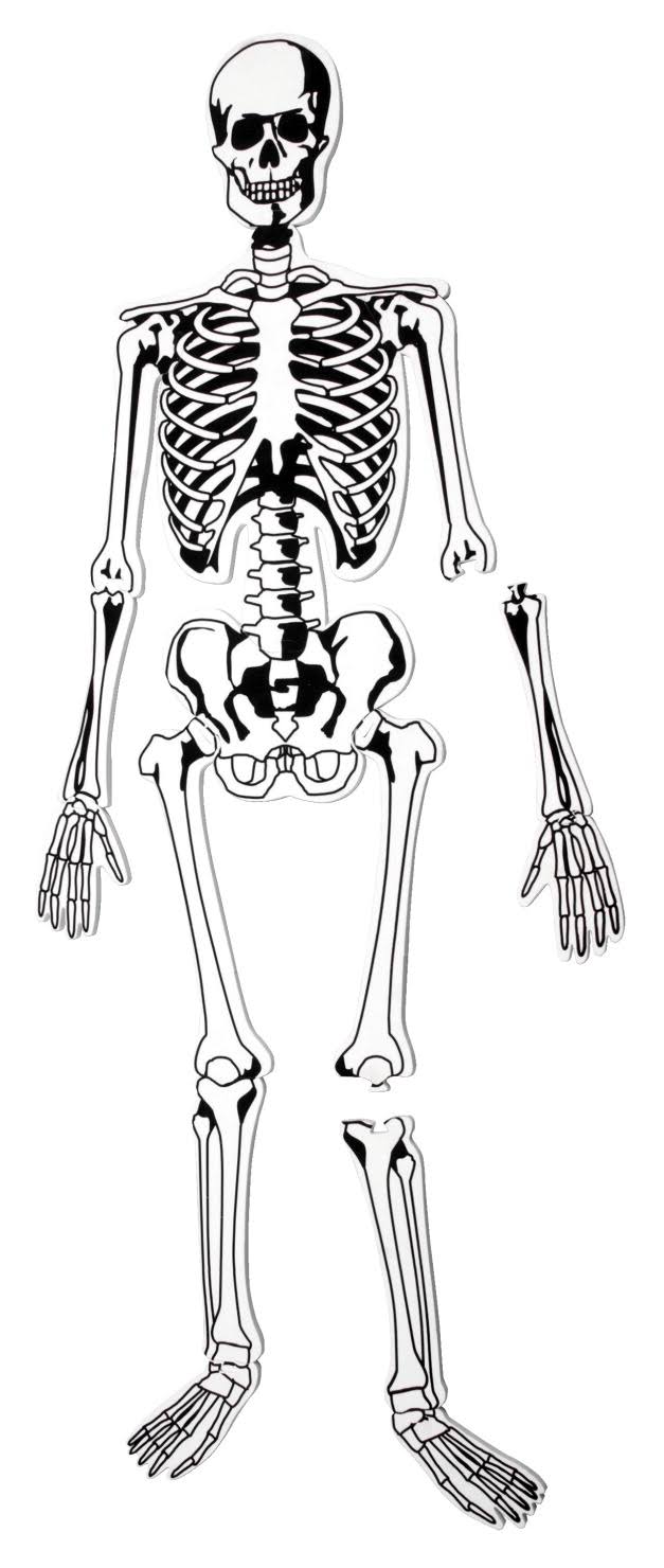 Learning Resources Skeleton Floor Puzzle WGL1s