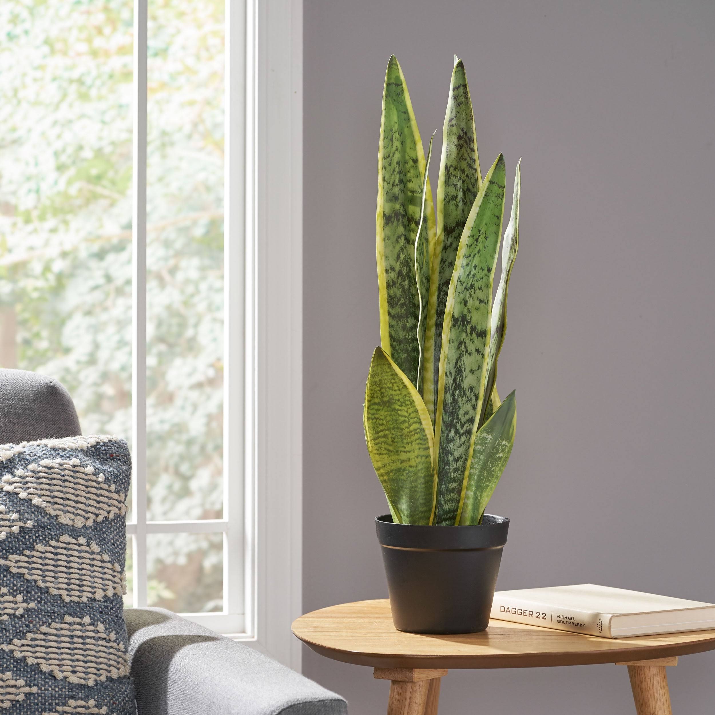 Morrow Artificial Tabletop Snake Plant by Christopher Knight Home - 2 ...