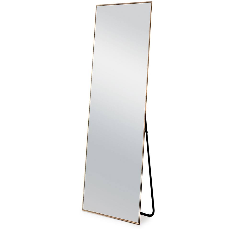 Neutype 64 x 21 Rectangular FullLength Floor Mirror in Gold petsdu