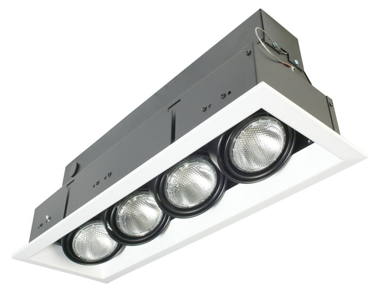 Lighting TE134A02, Multiple LED Recessed Light in Black WGL1s