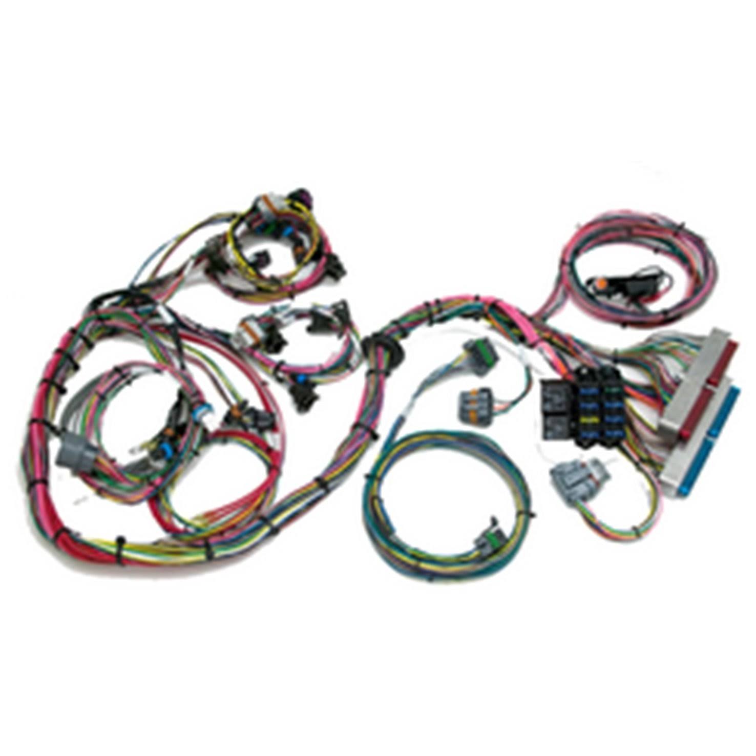 Painless 60522 Fuel Injection Wiring Harness Wgl 1 S