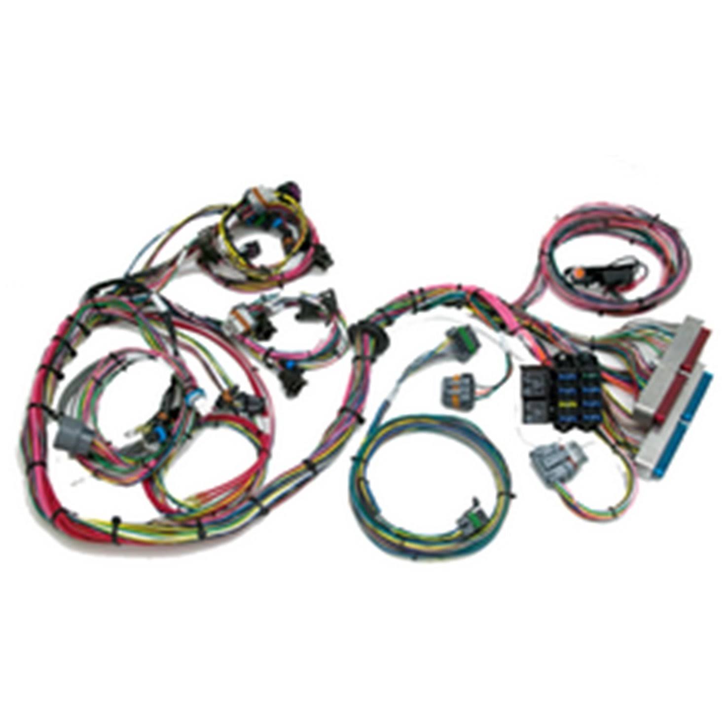Painless 60522 Fuel Injection WIRING Harness WGL1s