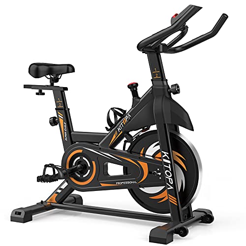 stationary bike belt