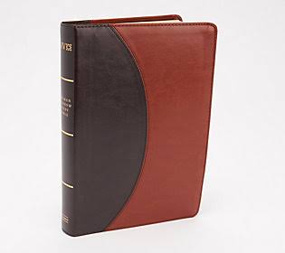 NIV Rainbow Study Bible with Color Coded Verses ,Brown - WGL-2-s