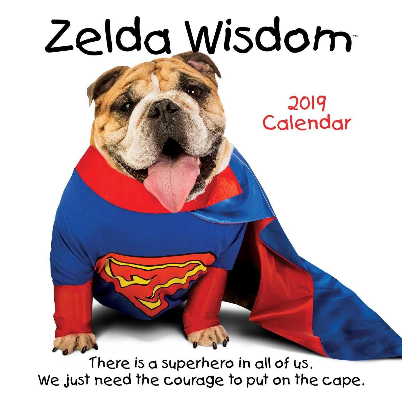 Zelda Wisdom 2019 Calendar WGL2s